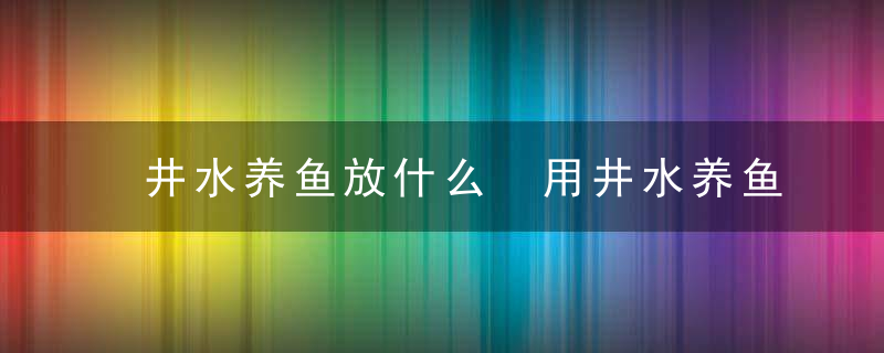 井水养鱼放什么 用井水养鱼要注意什么